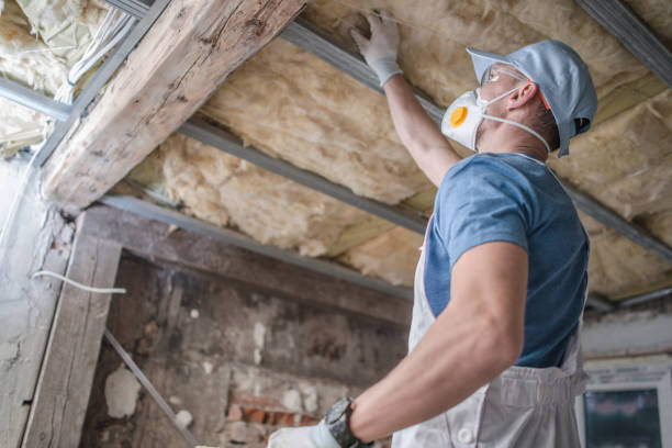 Best Commercial Insulation in Colonia, NJ